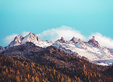 金沙官方：开启属于你的璀璨之旅